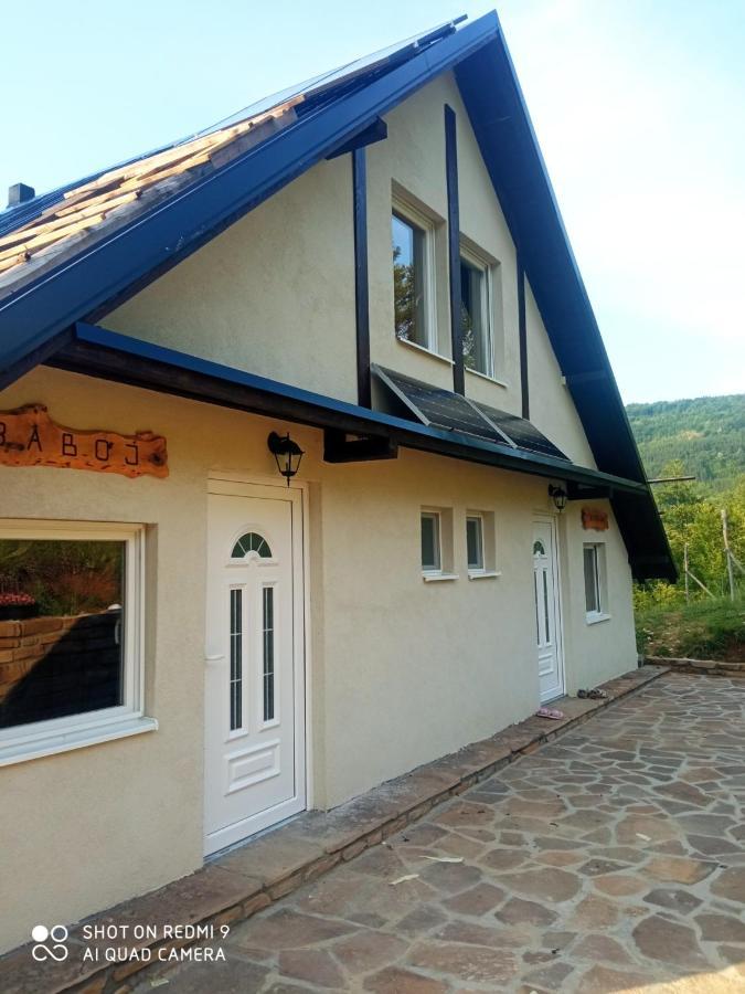 Zavojsko Jezero - Vila Jezero Pirot Exteriör bild