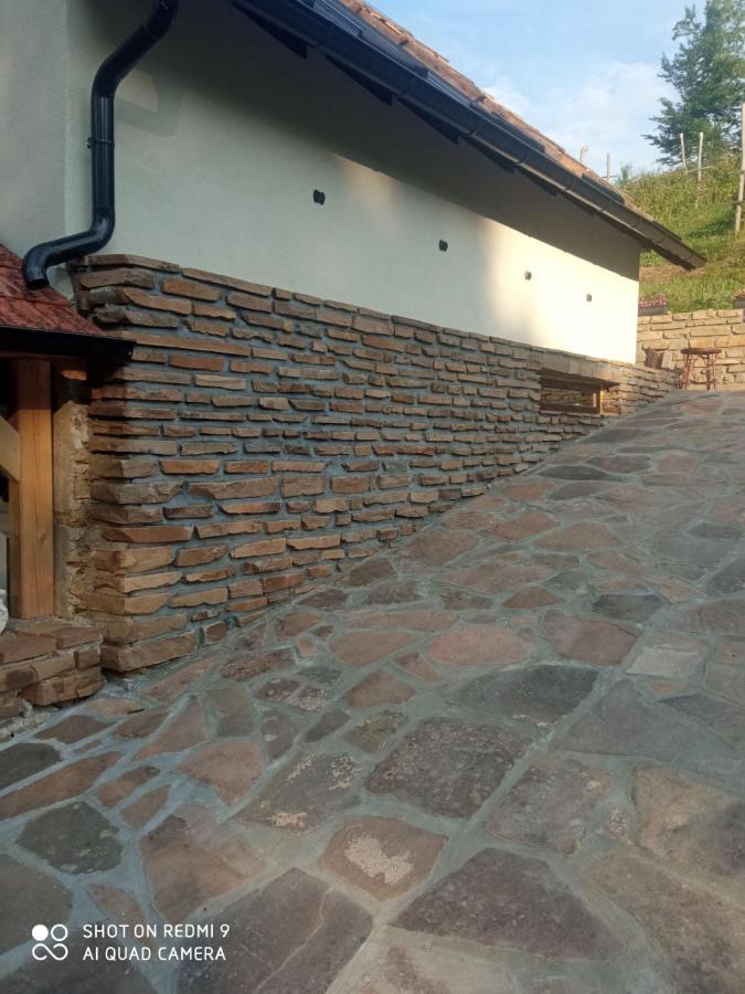 Zavojsko Jezero - Vila Jezero Pirot Exteriör bild