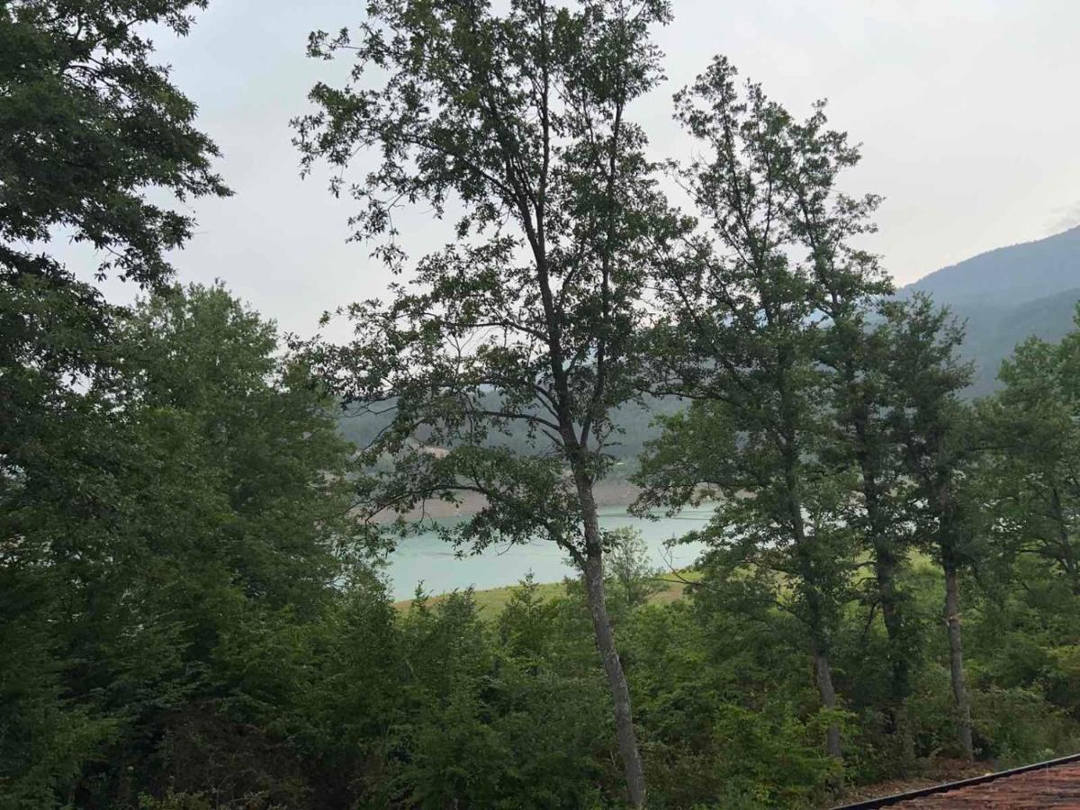 Zavojsko Jezero - Vila Jezero Pirot Exteriör bild