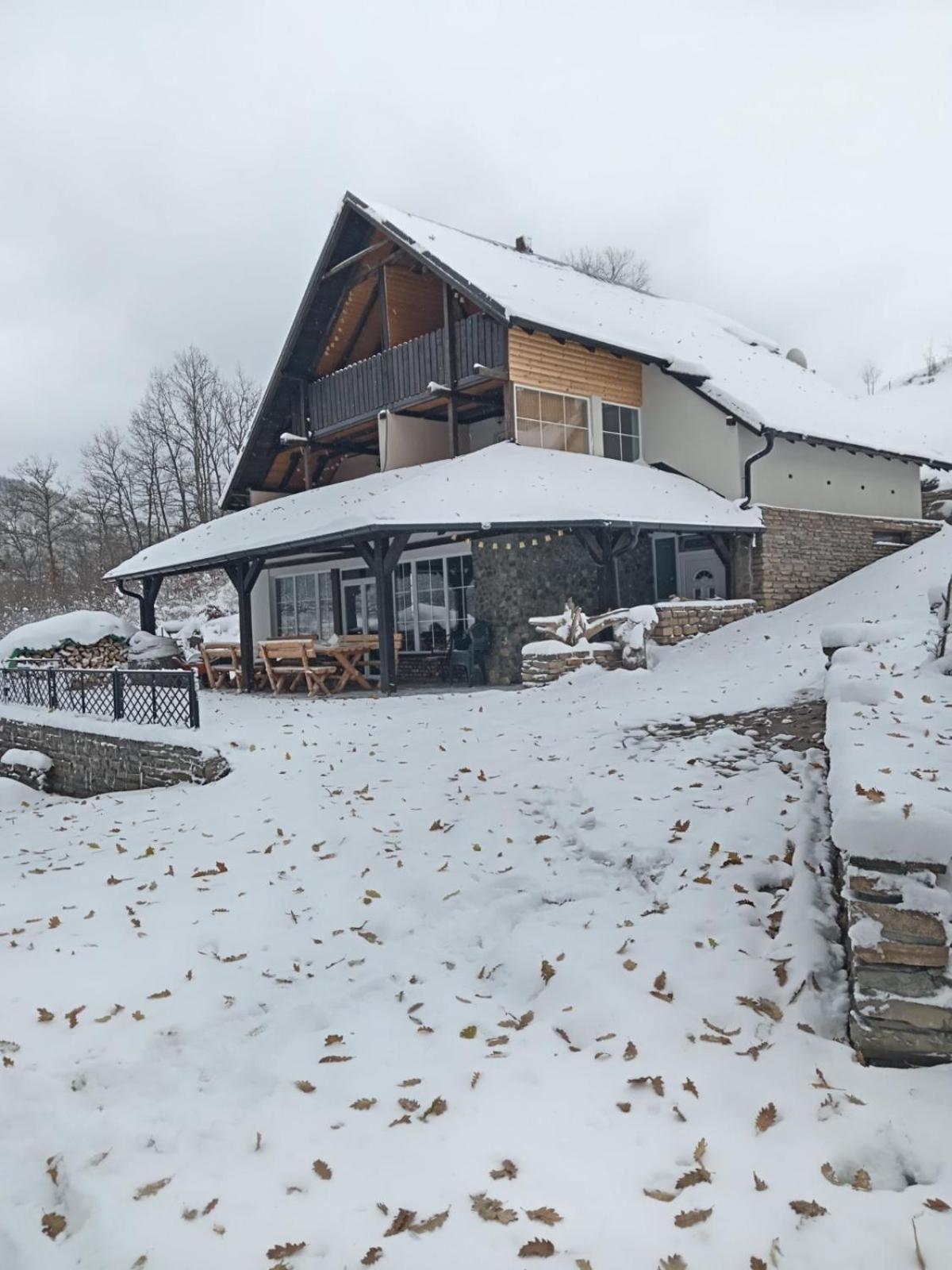 Zavojsko Jezero - Vila Jezero Pirot Exteriör bild