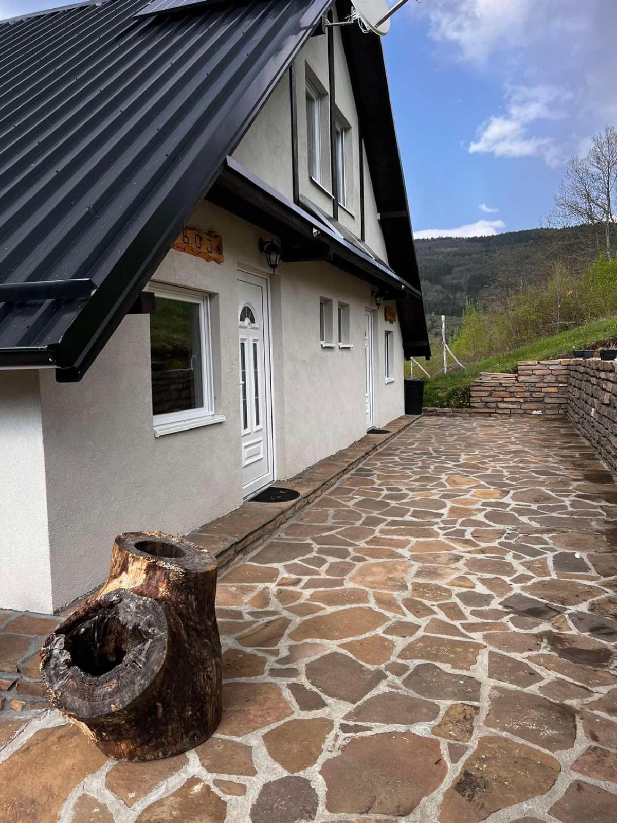 Zavojsko Jezero - Vila Jezero Pirot Exteriör bild